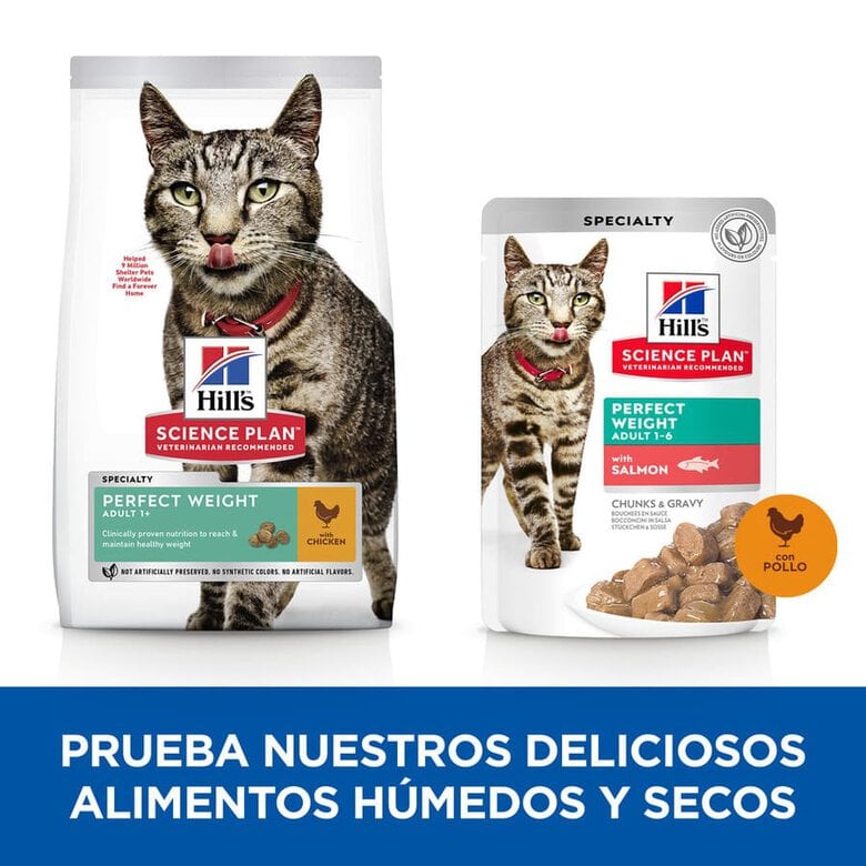 Hill's Science Plan Perfect Weight Adult pollo pienso para gatos, , large image number null